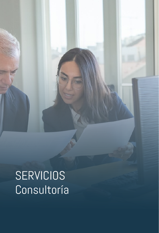 Servicio de Consultoría — Ingenieros Arquitectos 3.1416